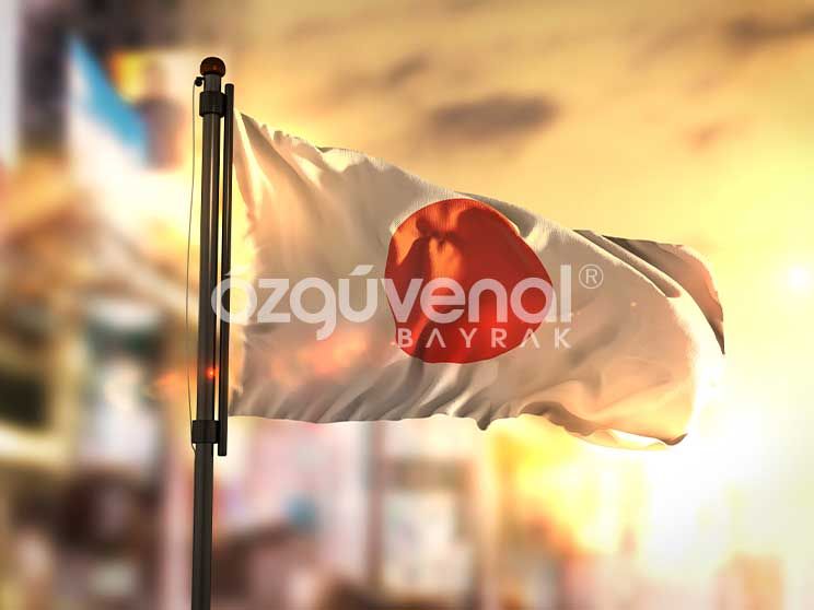 Bursa Ülke Bayrağı